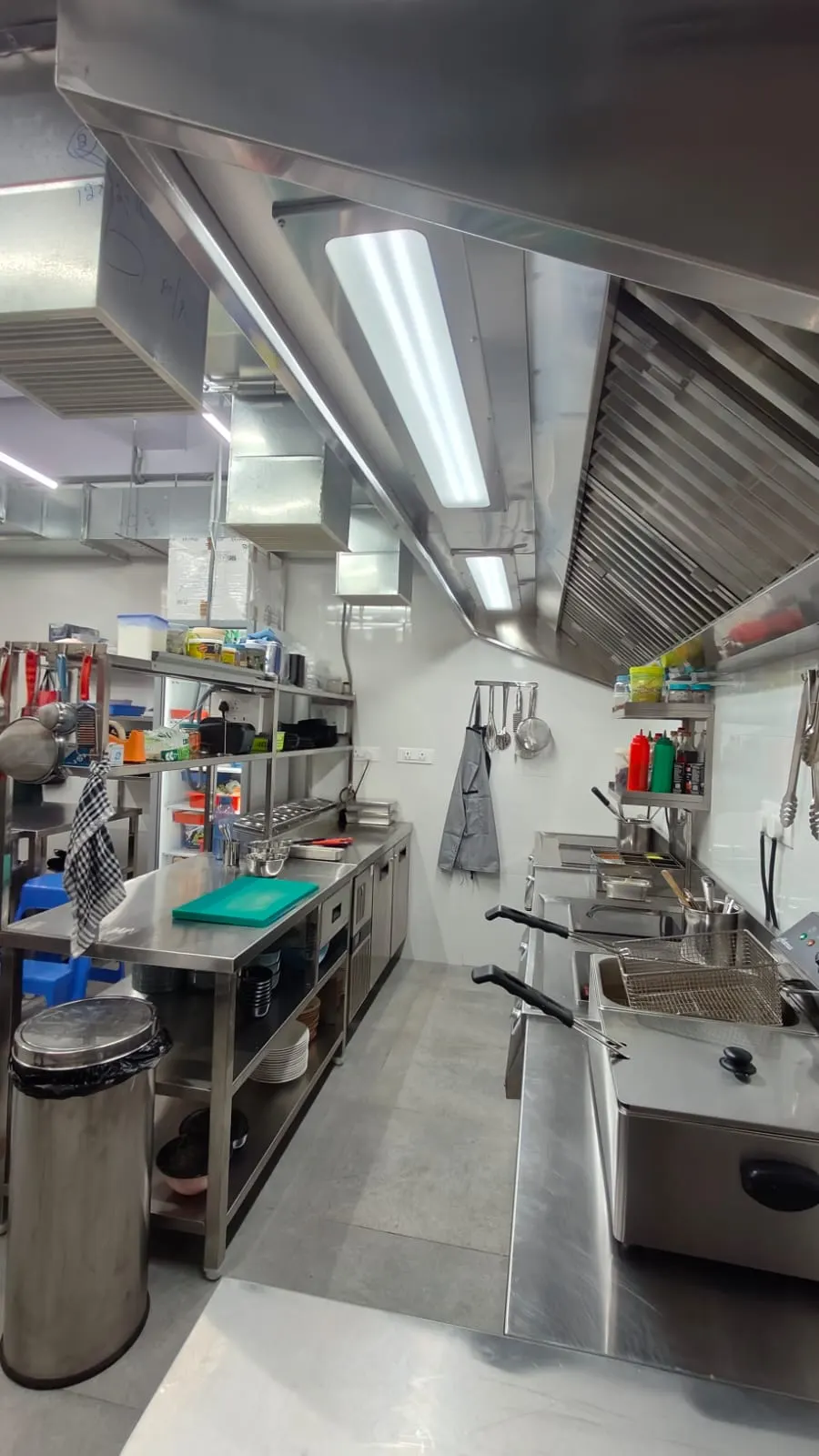 Exhaust hood over a cooking line with sink and fryer